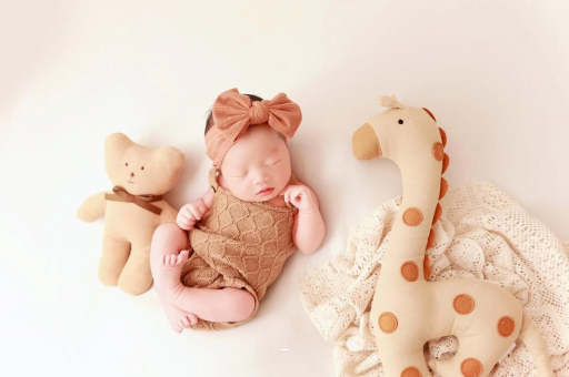 崇左宝宝虾的做法 崇左宝宝虾的做法